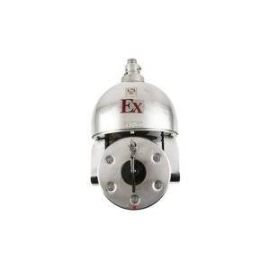 Explosion proof security camera