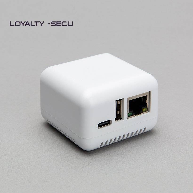 Mini Network 2.0 Print Server | Loyalty-secu