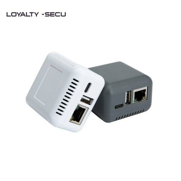 Print Server Loyaltysecu
