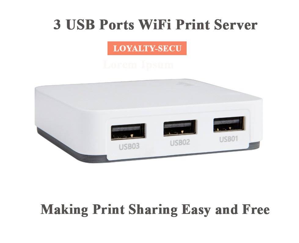 Сервер лояльности. USB networking Print Server.