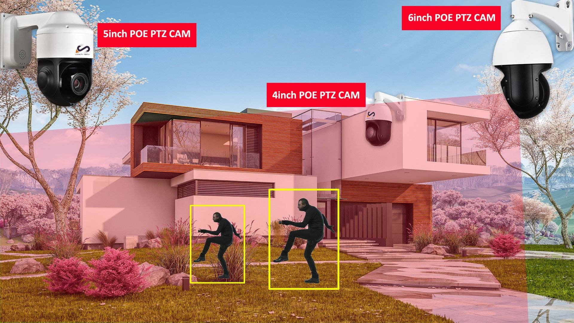 auto-tracking-PTZ-camera